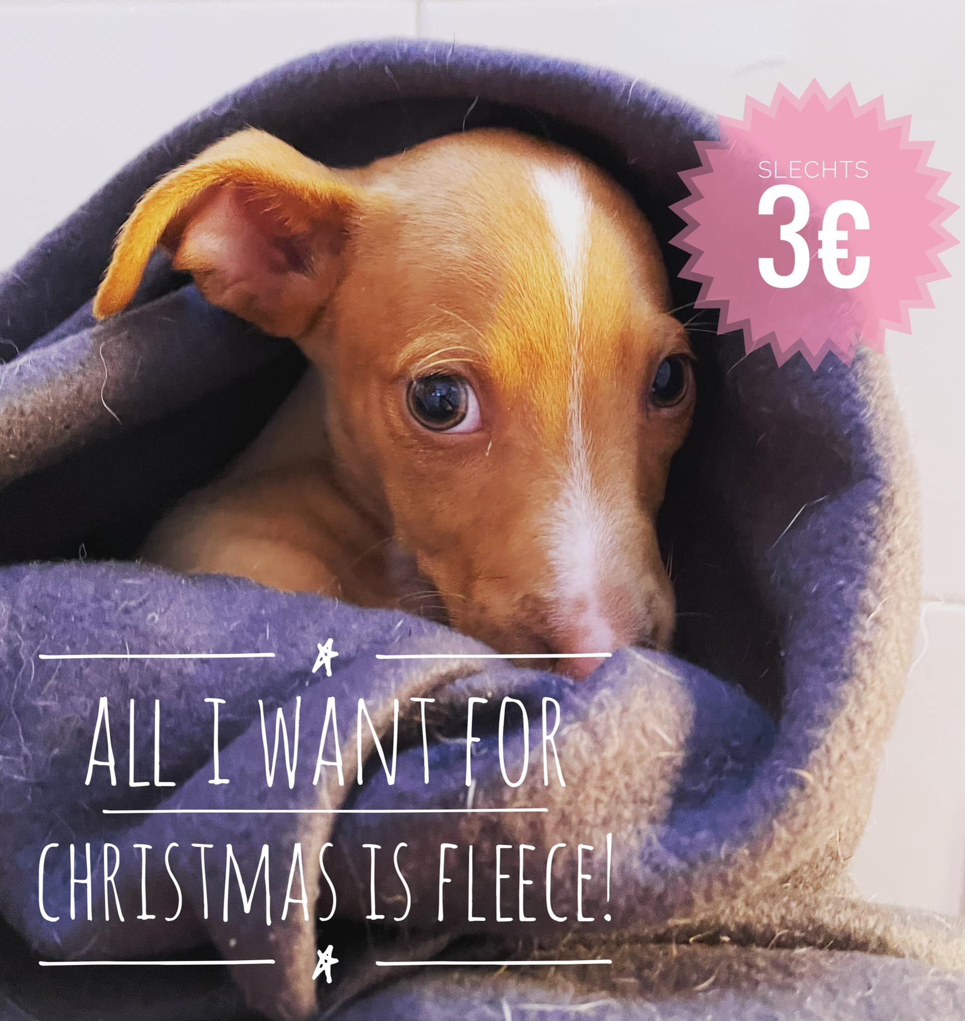 Je bekijkt nu All I want for Christmas is Fleece!