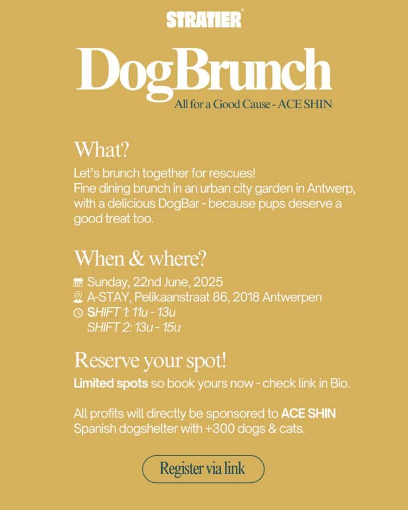 , Zondag 22 juni: Brunch in Antwerpen ten bate van onze viervoeters