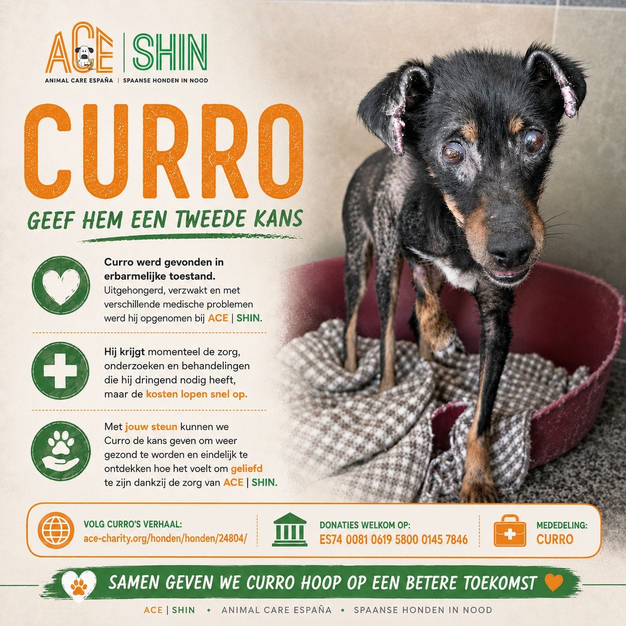 Je bekijkt nu Spaaractie Curro